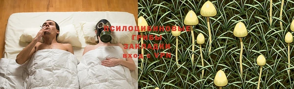 мдпв Нефтегорск