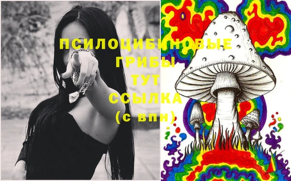 mdpv Нея