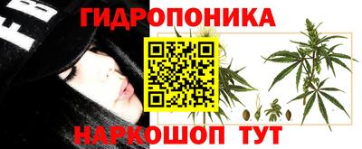 СК Апрелевка