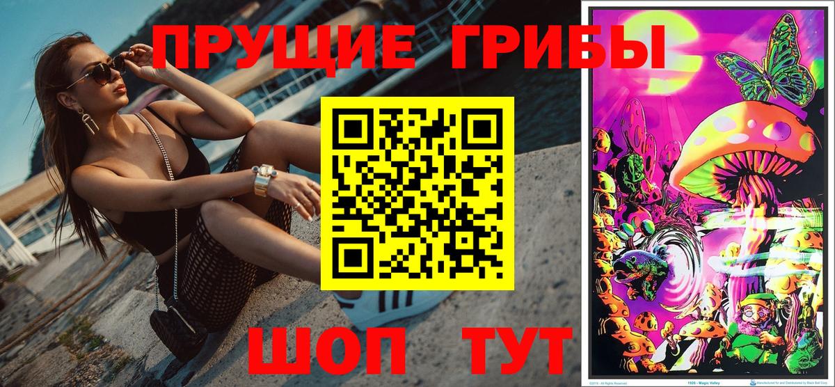 Псилоцибиновые грибы мицелий  Вход с VPN  Барабинск 