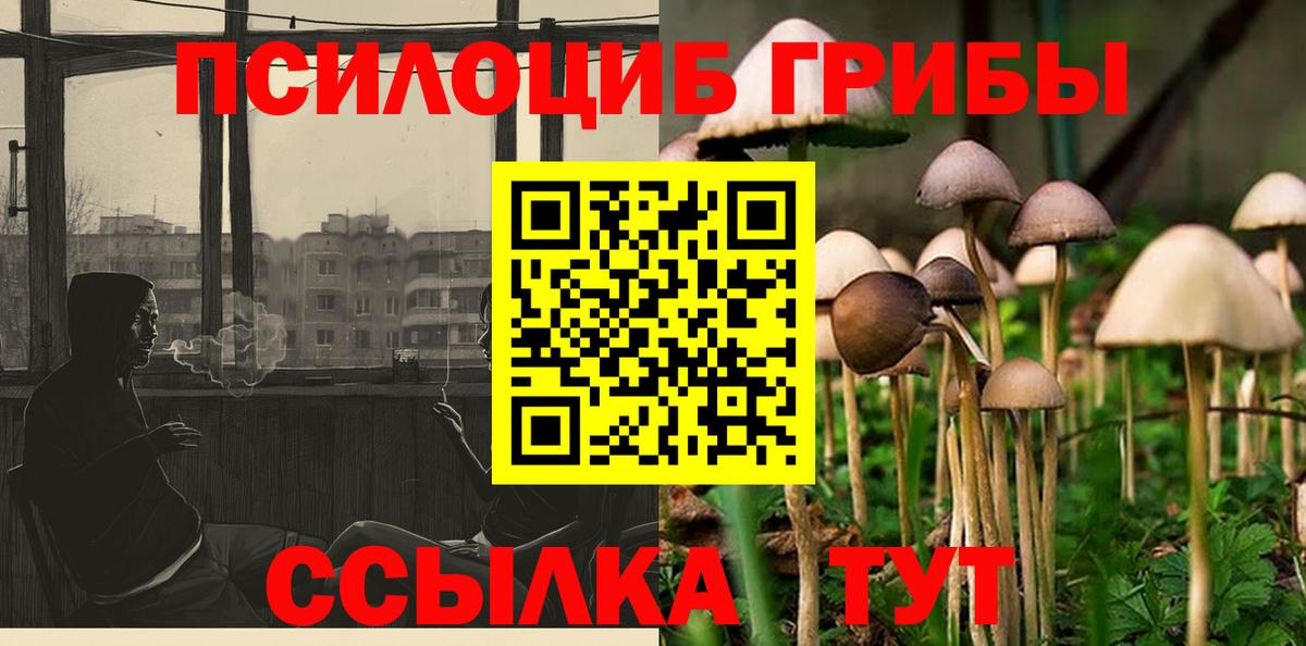 Галлюциногенные грибы мухоморы Барабинск