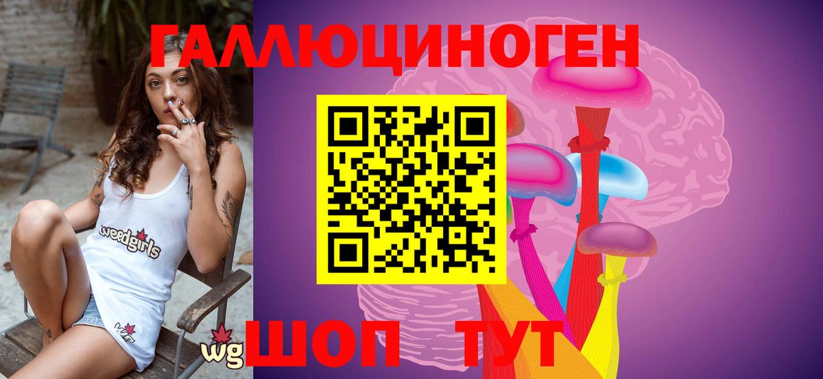 Псилоцибиновые грибы Psilocybe Барабинск